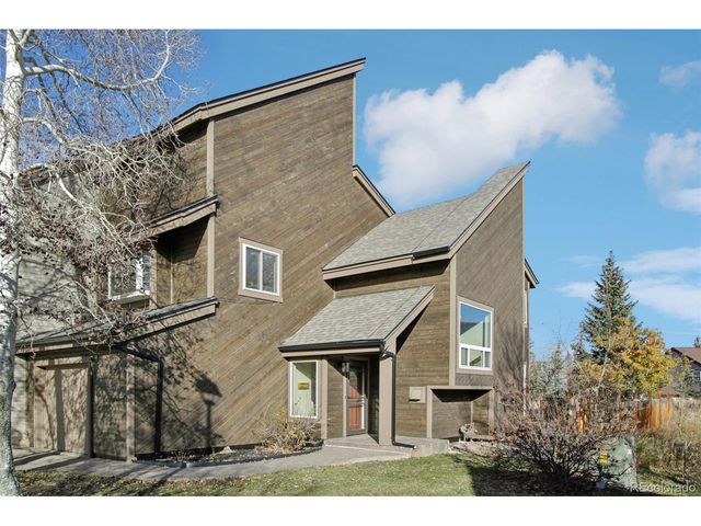 110 Badger Ct, Silverthorne, CO 80498