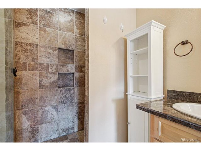 110 Badger Ct, Silverthorne, CO 80498