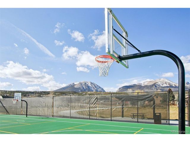 110 Badger Ct, Silverthorne, CO 80498