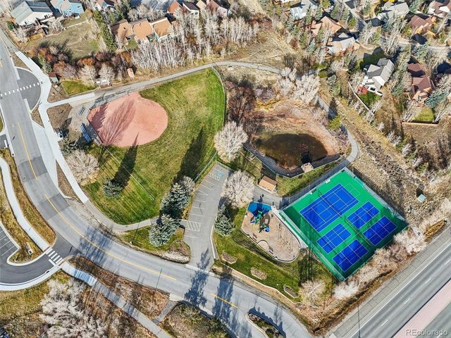 110 Badger Ct, Silverthorne, CO 80498