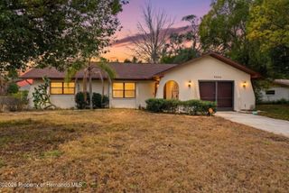 9086 Dorsey Street, Spring Hill, FL 34608