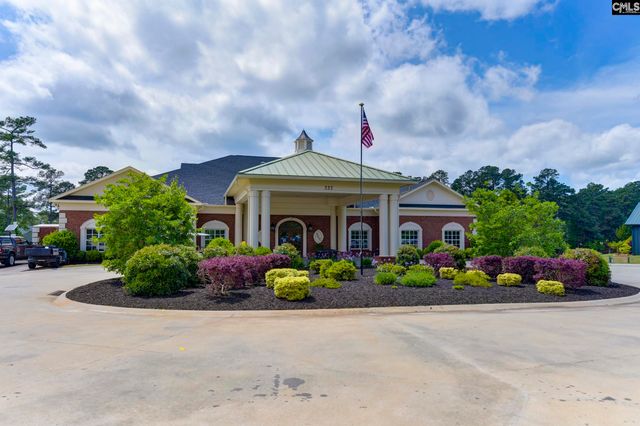 241 Pointe Overlook Drive, Chapin, SC 29036