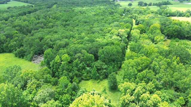Tract 1 CR 2065, Crockett, TX 75835