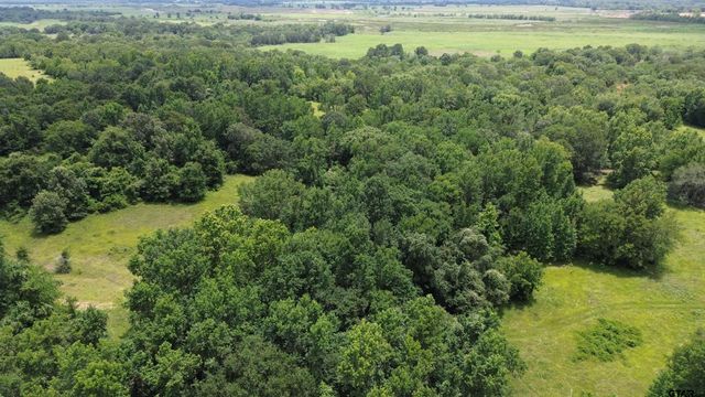 Tract 1 CR 2065, Crockett, TX 75835
