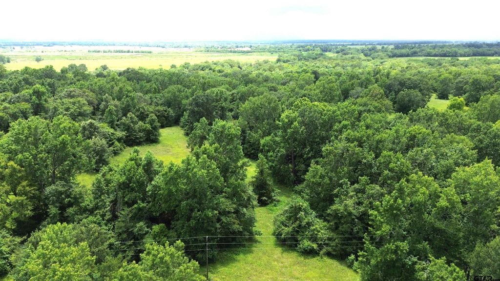 Tract 1 CR 2065, Crockett, TX 75835