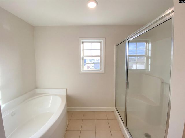 243 Meadow Saffron Drive, Lexington, SC 29073