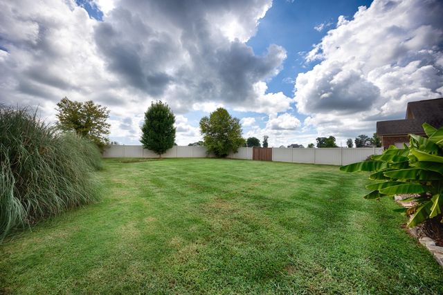 402 Vista Shores Rd, Rogersville, AL 35652