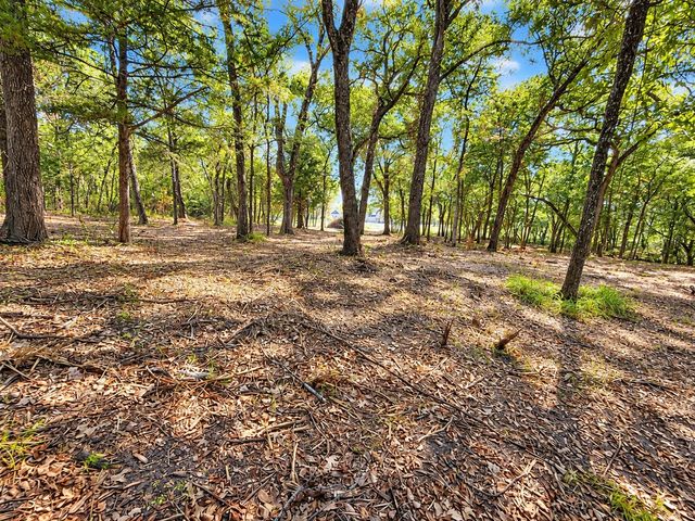 Lot 2 Wood Creek Drive, Lone Oak, TX 75453