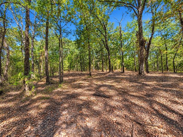 Lot 2 Wood Creek Drive, Lone Oak, TX 75453