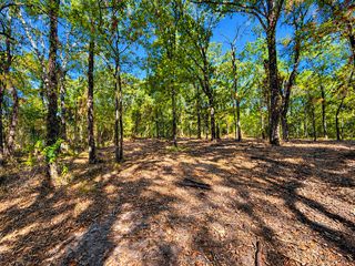 Lot 2 Wood Creek Drive, Lone Oak, TX 75453