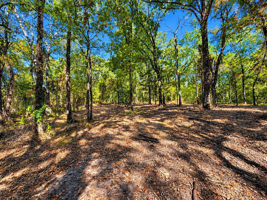 Lot 2 Wood Creek Drive, Lone Oak, TX 75453