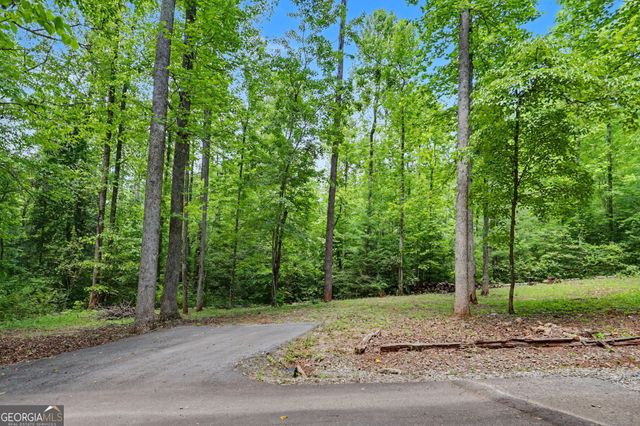 220A Brookwood Lane, Clarkesville, GA 30523