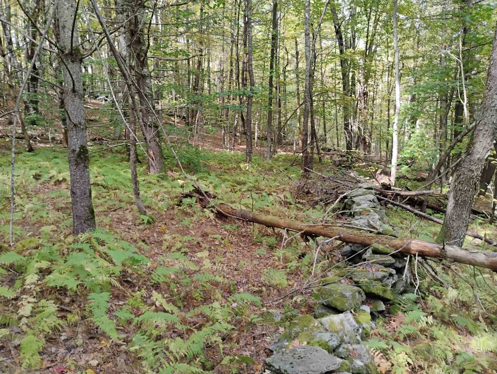 Image 11 of property listing at 0 Banning Road, Putney, VT 05346