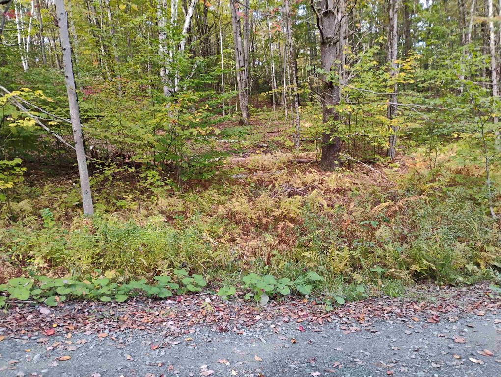 Image 12 of property listing at 0 Banning Road, Putney, VT 05346