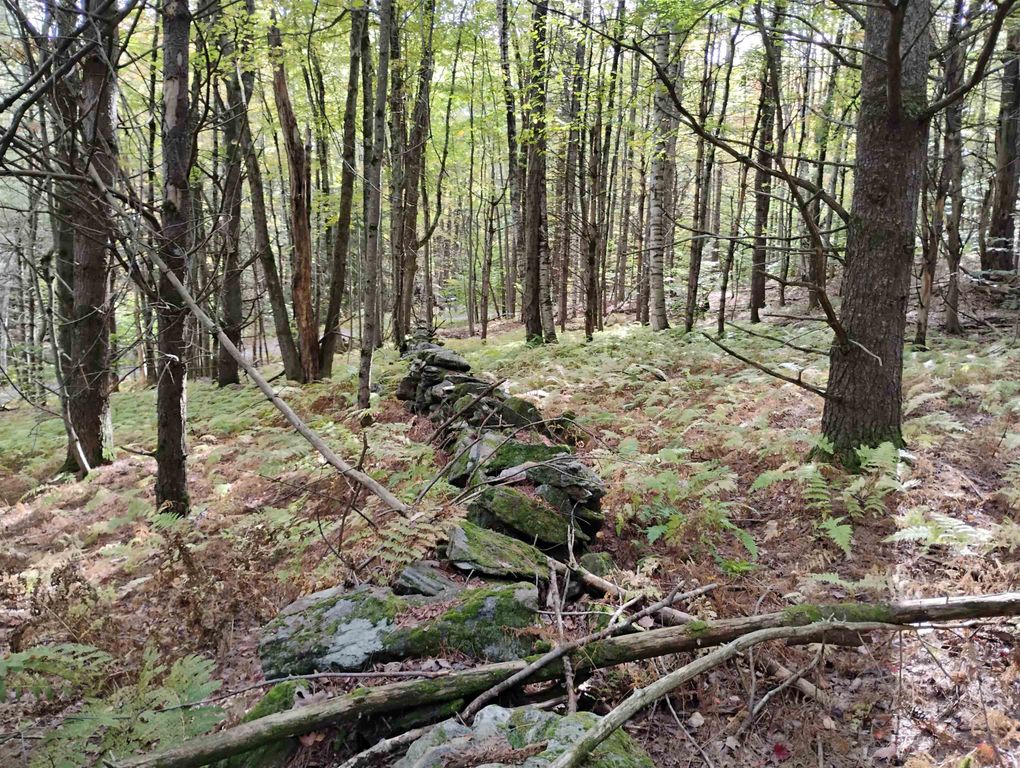 Image 4 of property listing at 0 Banning Road, Putney, VT 05346