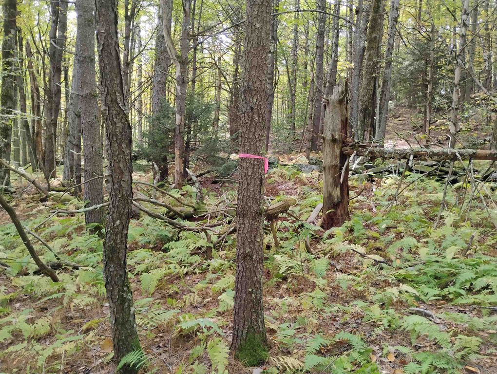 Image 5 of property listing at 0 Banning Road, Putney, VT 05346