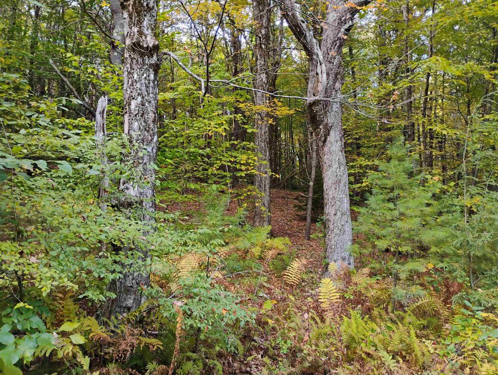 Image 8 of property listing at 0 Banning Road, Putney, VT 05346