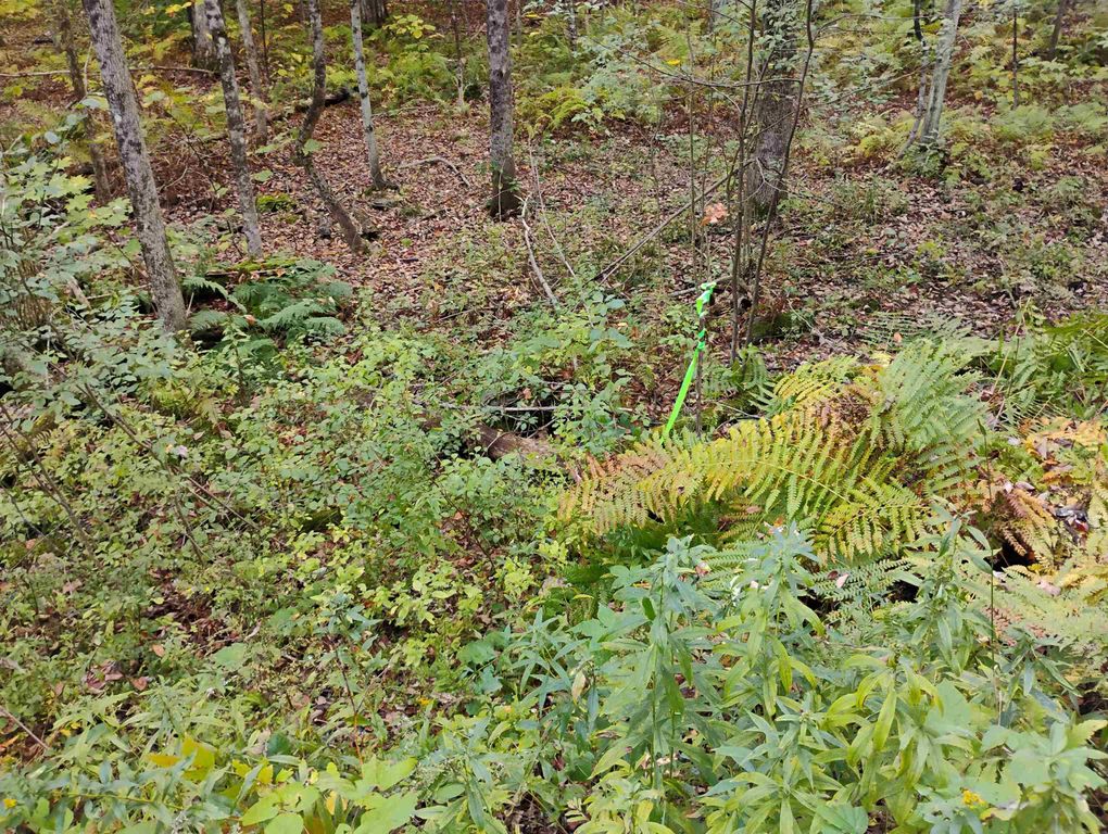 Image 9 of property listing at 0 Banning Road, Putney, VT 05346