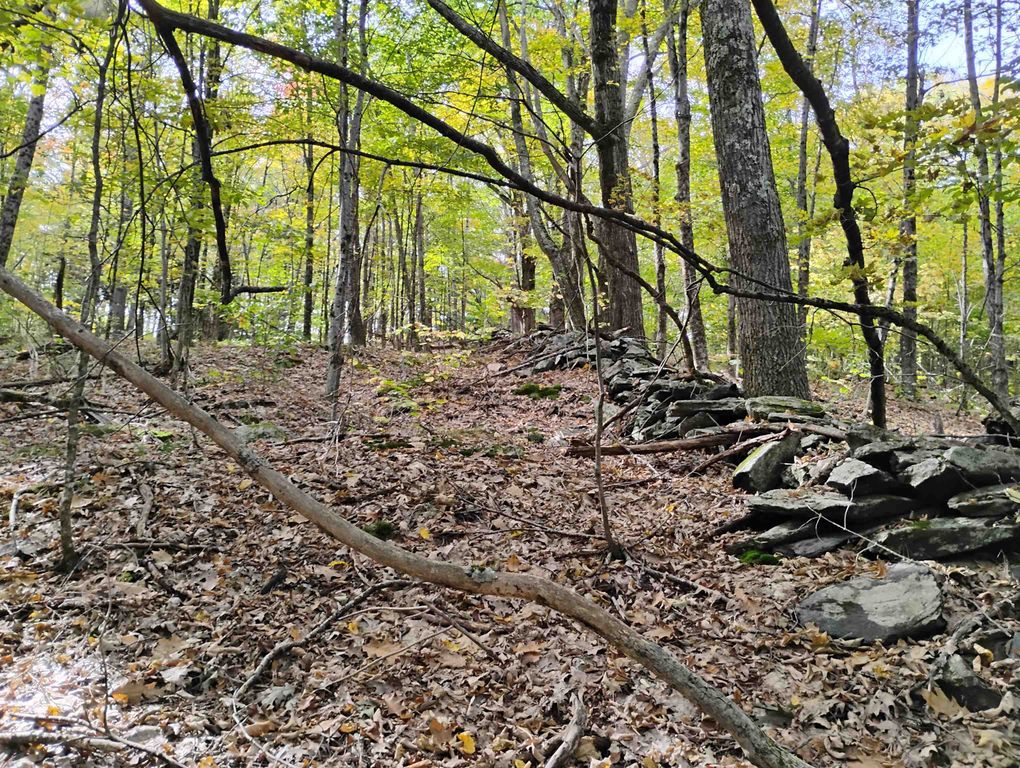 Image 10 of property listing at 0 Banning Road, Putney, VT 05346