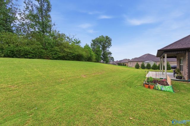 134 Lewis Vann Drive, Hazel Green, AL 35750