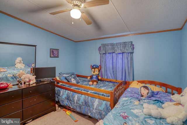 376 GRAHAM BRANCH RD, Seaford, DE 19973