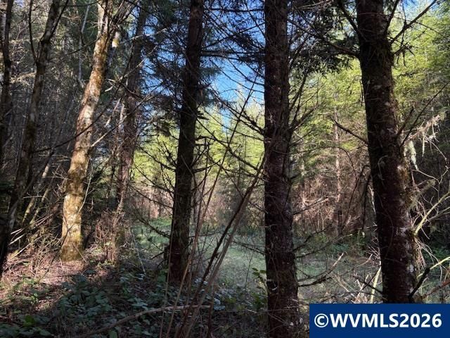 00 SE Wildcat Mountain Dr, Sandy, OR 97055