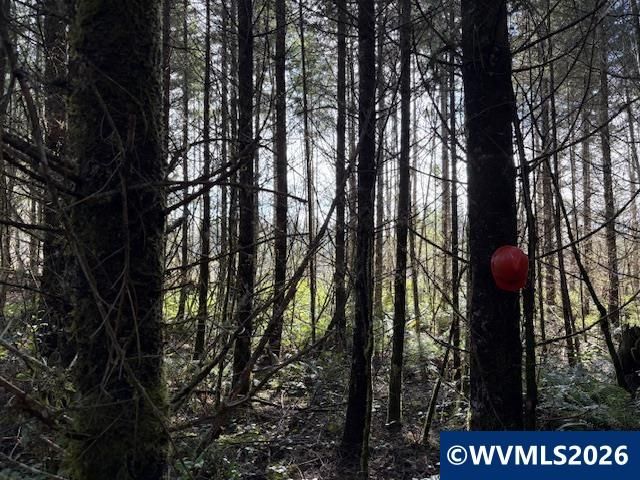 00 SE Wildcat Mountain Dr, Sandy, OR 97055