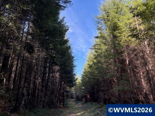 00 SE Wildcat Mountain Dr, Sandy, OR 97055