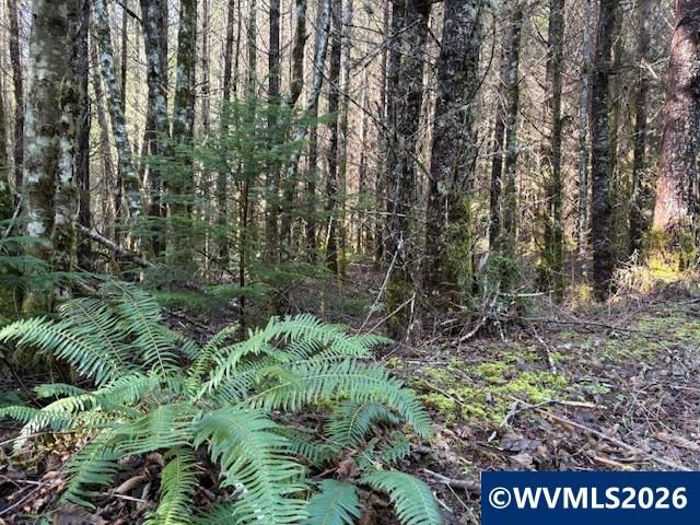 00 SE Wildcat Mountain Dr, Sandy, OR 97055