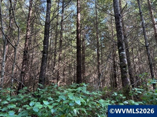00 SE Wildcat Mountain Dr, Sandy, OR 97055