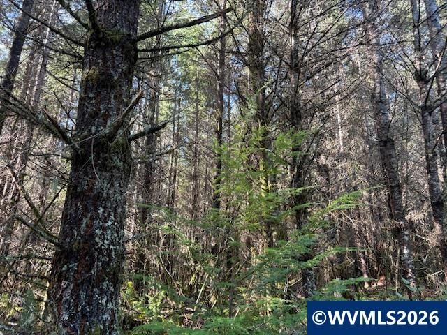 00 SE Wildcat Mountain Dr, Sandy, OR 97055
