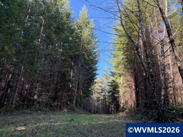 00 SE Wildcat Mountain Dr, Sandy, OR 97055