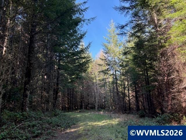00 SE Wildcat Mountain Dr, Sandy, OR 97055