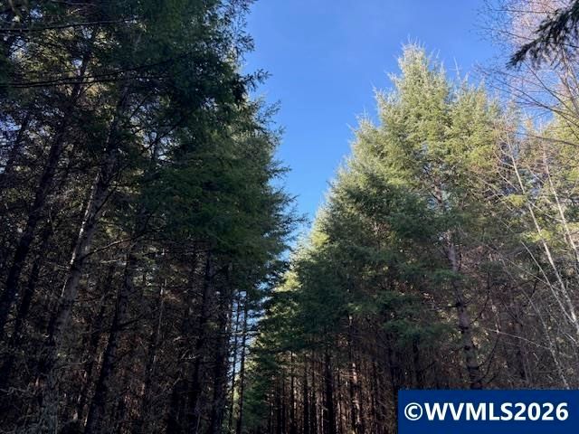 00 SE Wildcat Mountain Dr, Sandy, OR 97055