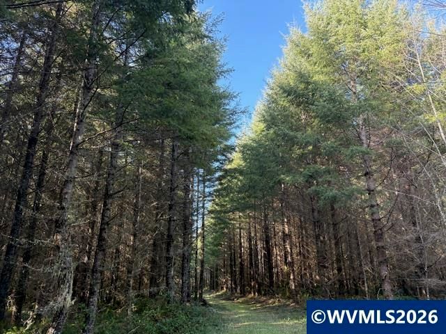 00 SE Wildcat Mountain Dr, Sandy, OR 97055