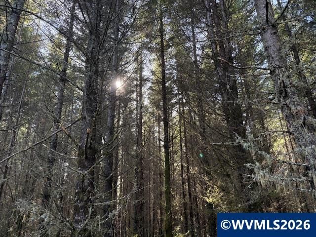 00 SE Wildcat Mountain Dr, Sandy, OR 97055
