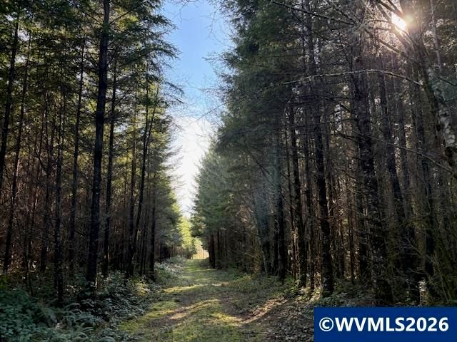 00 SE Wildcat Mountain Dr, Sandy, OR 97055