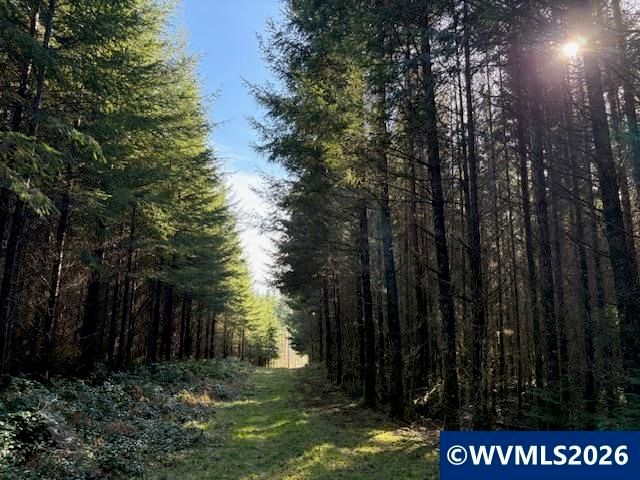 00 SE Wildcat Mountain Dr, Sandy, OR 97055