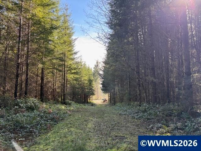 00 SE Wildcat Mountain Dr, Sandy, OR 97055