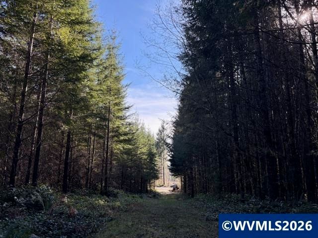 00 SE Wildcat Mountain Dr, Sandy, OR 97055