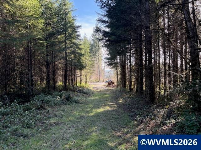 00 SE Wildcat Mountain Dr, Sandy, OR 97055