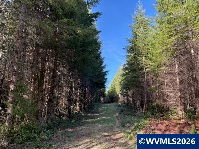00 SE Wildcat Mountain Dr, Sandy, OR 97055