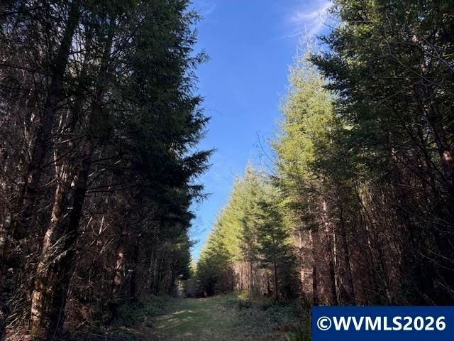 00 SE Wildcat Mountain Dr, Sandy, OR 97055