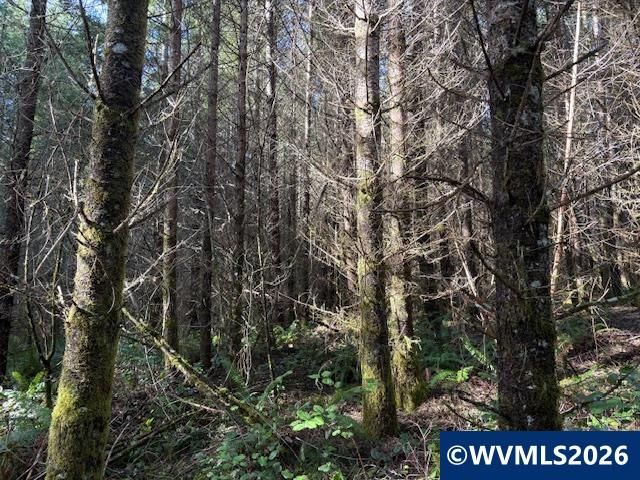 00 SE Wildcat Mountain Dr, Sandy, OR 97055