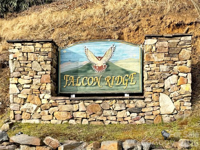 371 Falcon Ridge Drive, Waynesville, NC 28786