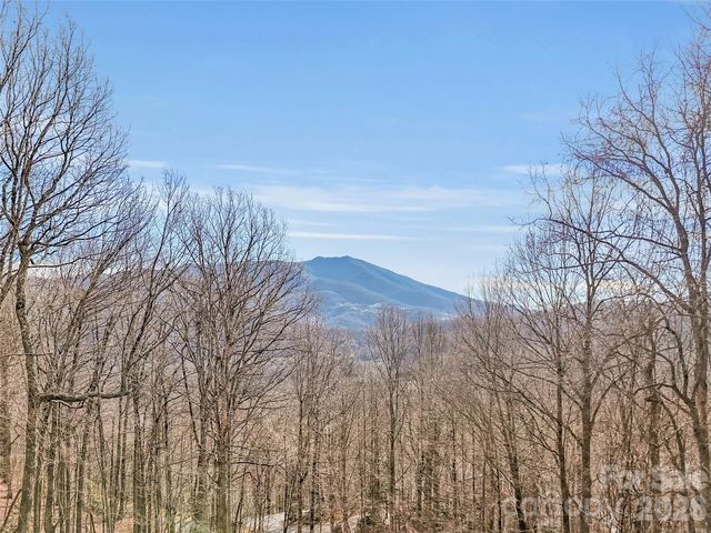 371 Falcon Ridge Drive, Waynesville, NC 28786