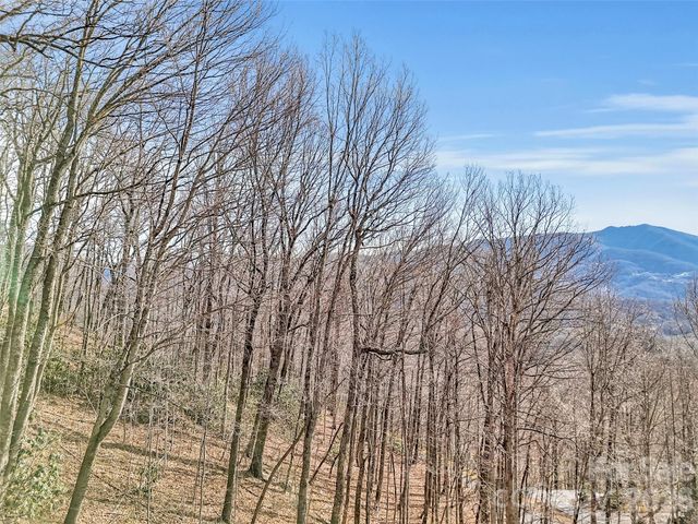 371 Falcon Ridge Drive, Waynesville, NC 28786