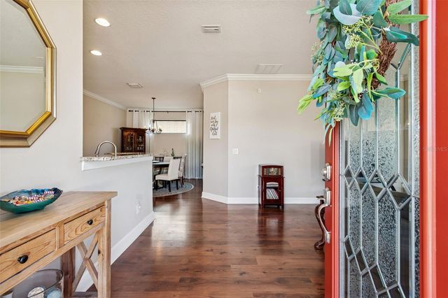 8440 ALBERATA VISTA DRIVE, Tampa, FL 33647