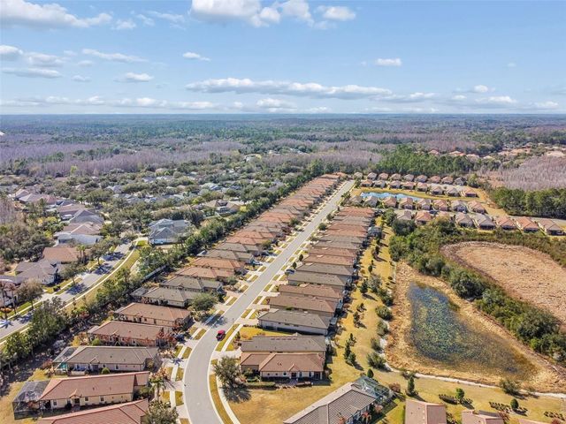 8440 ALBERATA VISTA DRIVE, Tampa, FL 33647