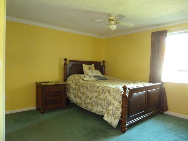 807 JACARANDA DRIVE, Oldsmar, FL 34677